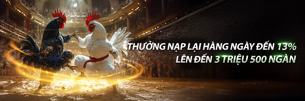 Hoàn trả hàng ngày tại V9 Bet