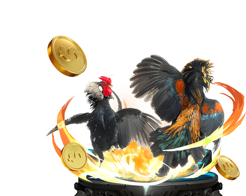 Trò chơi Đá Gà trực tuyến tại FA88, hình ảnh hai chú gà chiến đang đối đầu