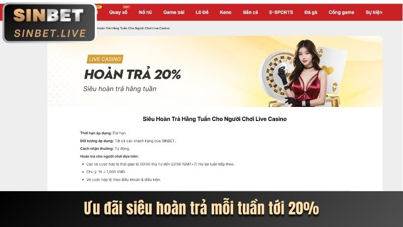 Hình ảnh giới thiệu tổng quan về nền tảng V9 Bet (Sinbet), cho thấy sự uy tín và chuyên nghiệp của nhà cái.